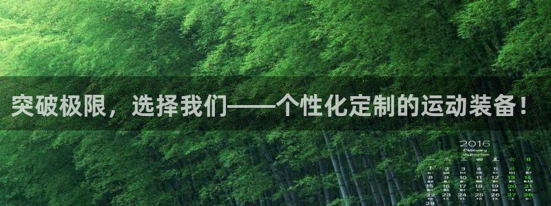 熊猫体育官网下载是干嘛的公司：突破极限，选择我们——个性化定