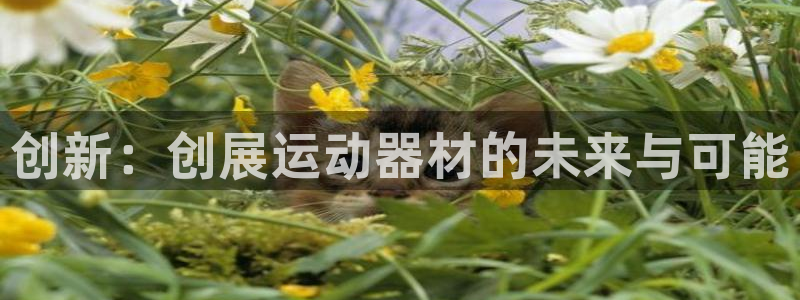 熊猫体育官网下载开户：创新：创展运动器材的未来与可能